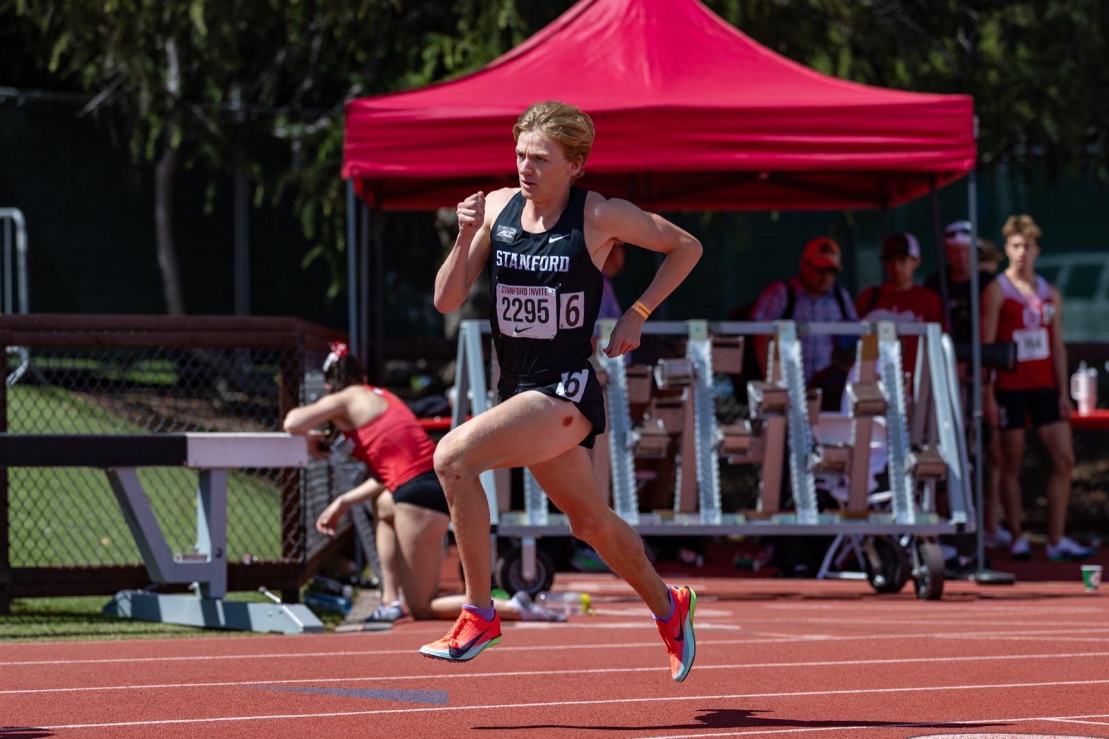 Zane mid-stride on the backstretch at the Stanford Invitational